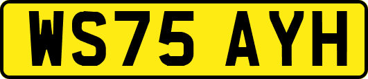 WS75AYH