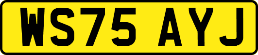 WS75AYJ