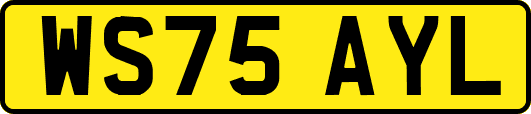 WS75AYL