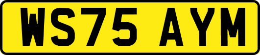 WS75AYM