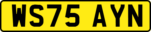 WS75AYN
