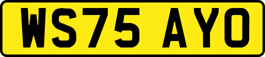 WS75AYO