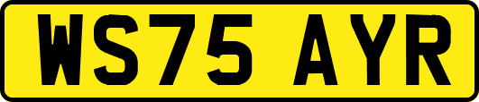 WS75AYR