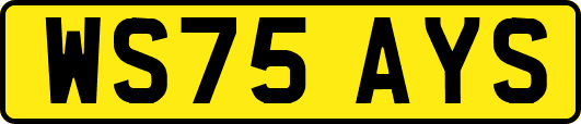 WS75AYS