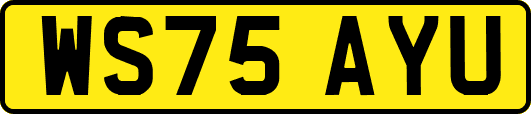 WS75AYU
