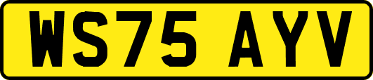 WS75AYV