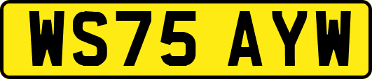 WS75AYW
