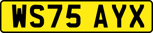 WS75AYX