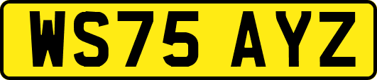 WS75AYZ