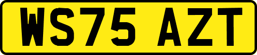 WS75AZT