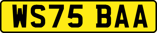 WS75BAA