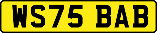 WS75BAB