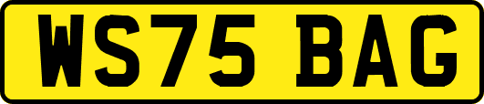 WS75BAG