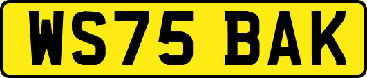 WS75BAK