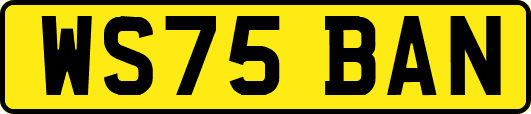 WS75BAN