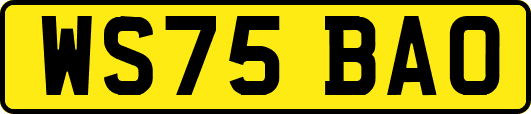 WS75BAO