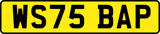 WS75BAP