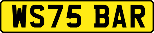 WS75BAR