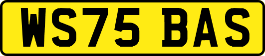 WS75BAS