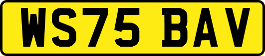 WS75BAV