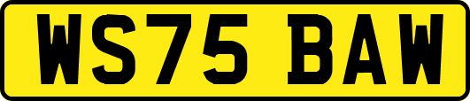 WS75BAW