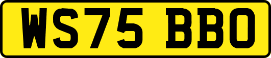 WS75BBO
