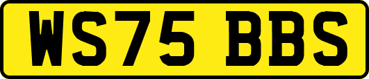 WS75BBS