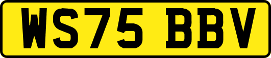 WS75BBV