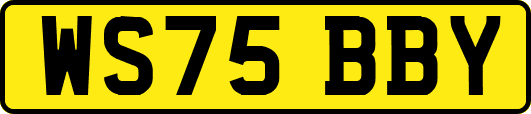 WS75BBY