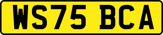 WS75BCA