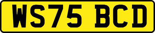 WS75BCD
