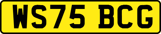 WS75BCG