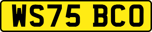 WS75BCO
