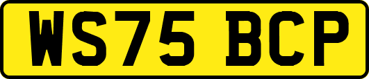 WS75BCP