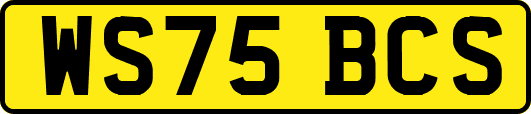 WS75BCS
