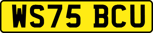 WS75BCU