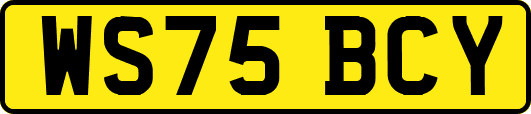 WS75BCY