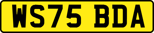 WS75BDA
