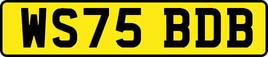 WS75BDB
