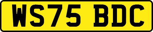 WS75BDC