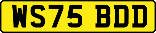 WS75BDD