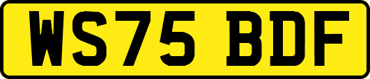 WS75BDF