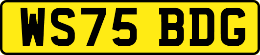 WS75BDG
