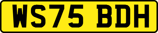 WS75BDH