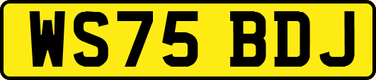 WS75BDJ