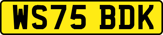 WS75BDK