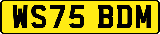 WS75BDM