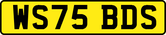 WS75BDS