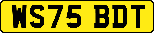 WS75BDT