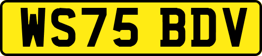 WS75BDV